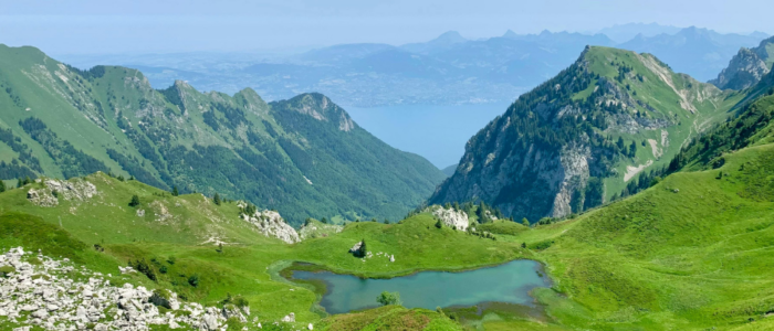 Panneaux acoustiques dans les Alpes-de-Haute-Provence