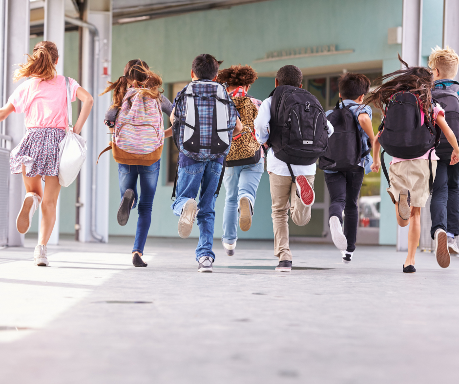 panneaux acoustiques pour établissements scolaires