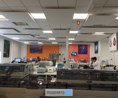 Projet – Hôpital Saint Joseph I Lyon